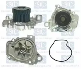 PA1303 Saleri SIL Водяной насос