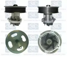 PA1393 Saleri SIL