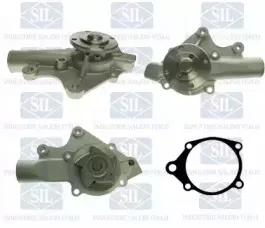 PA1483 Saleri SIL