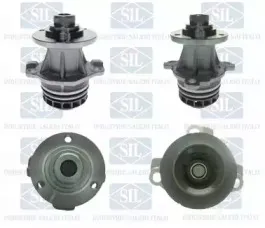 PA1524 Saleri SIL