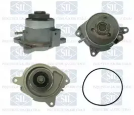 PA1594 Saleri SIL Водяной насос