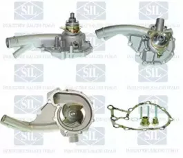 PA561 Saleri SIL Водяной насос