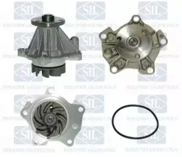 PA725 Saleri SIL Водяной насос