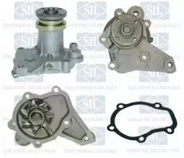 PA814 Saleri SIL Водяной насос