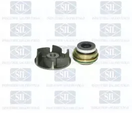 PA842 Saleri SIL Водяной насос