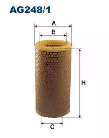 AG2481 FILTRON