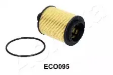 ashika-10eco095