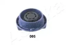 ashika-3300005