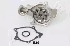 ashika-3505530