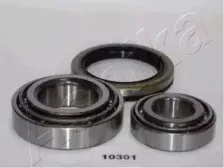 44-10301 ASHIKA