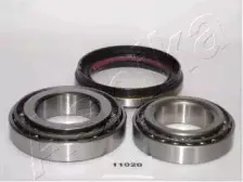 44-11020 ASHIKA