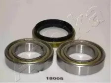 44-18005 ASHIKA