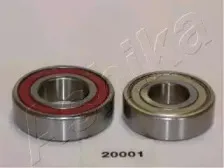 44-20001 ASHIKA