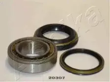 44-20307 ASHIKA