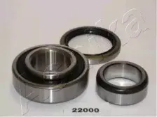 ashika-4422000
