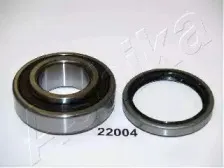 ashika-4422004