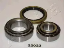 44-22023 ASHIKA