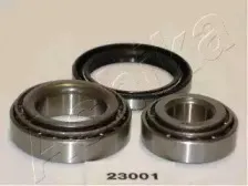 ashika-4423001