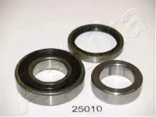 ashika-4425010