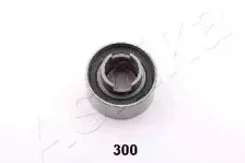 ashika-4503300