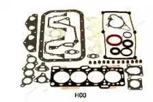 ashika-490hh00