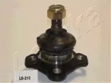 ashika-5302210