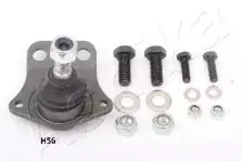 ashika-530hh56