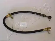 ashika-69044040