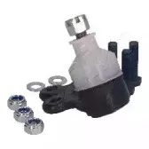 ashika-730cc01