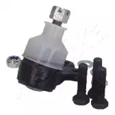 ashika-730cc01