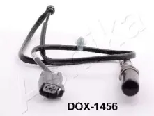 ashika-dox1456