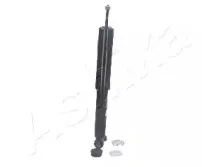 ashika-ma00338