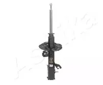 MA-10006 ASHIKA