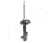 ashika-ma10071