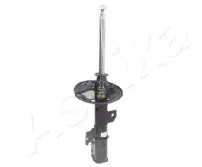 MA-20011 ASHIKA