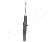 ashika-ma33036