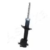 ashika-ma60002