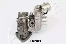 ashika-turb1