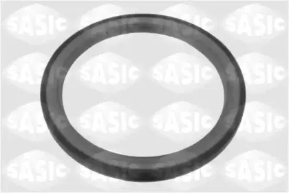 1954001 SASIC