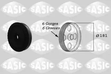 sasic-2156039