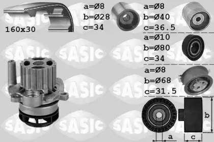 3906081 SASIC