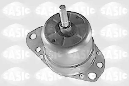 sasic-9001310