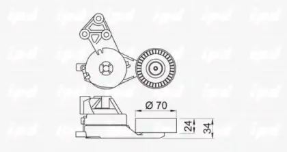 ipd-100081