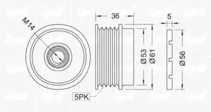 ipd-120008