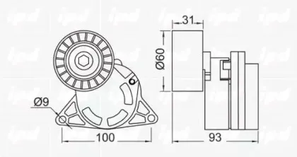 ipd-153478
