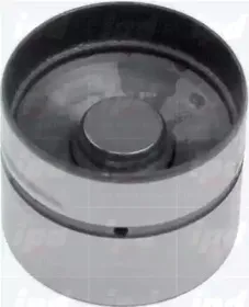 ipd-454023