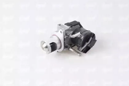 ipd-458113