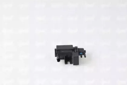ipd-458304