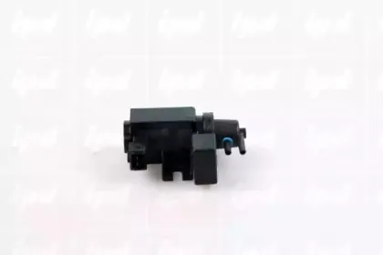 ipd-458314