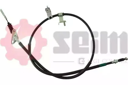 seim-554234